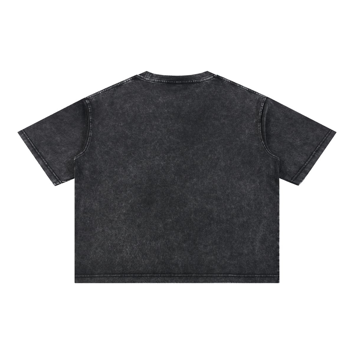 MIROLYUB Stratum Mineral-Wash Boxy Tee in Black, back view