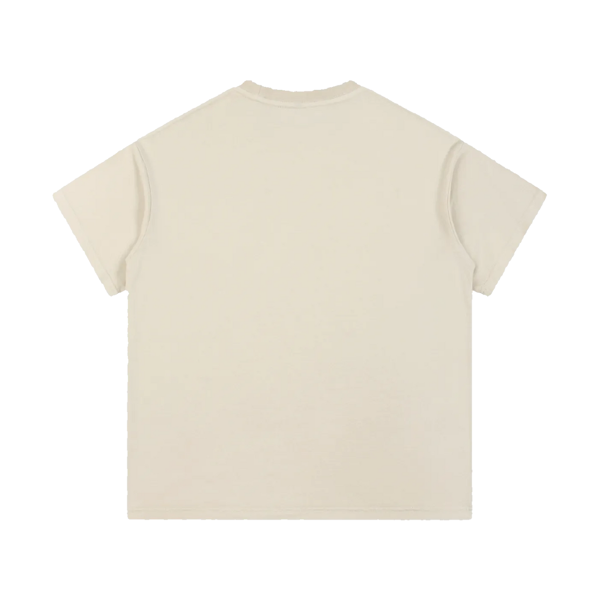 Palimpsest — Vintage-Wash Cotton Tee / Foundation