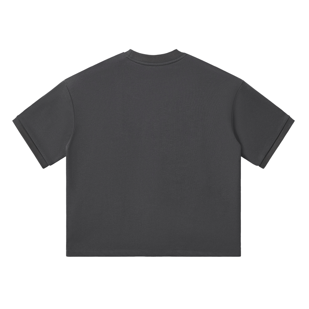 MIROLYUB Unisex Heavyweight Boxy T-Shirt — Dark Gray — back view
