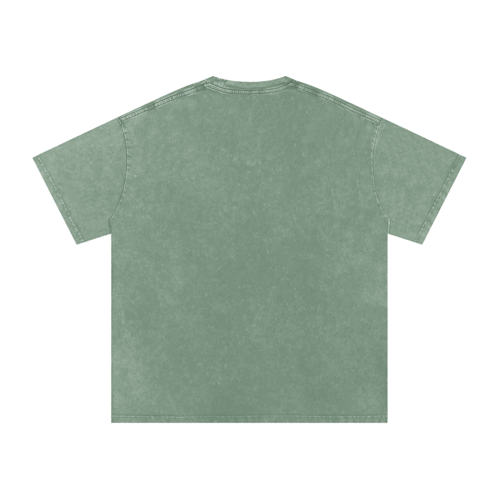 MIROLYUB Afterglow Snow-Wash Oversized Tee in Bean Green, back view.