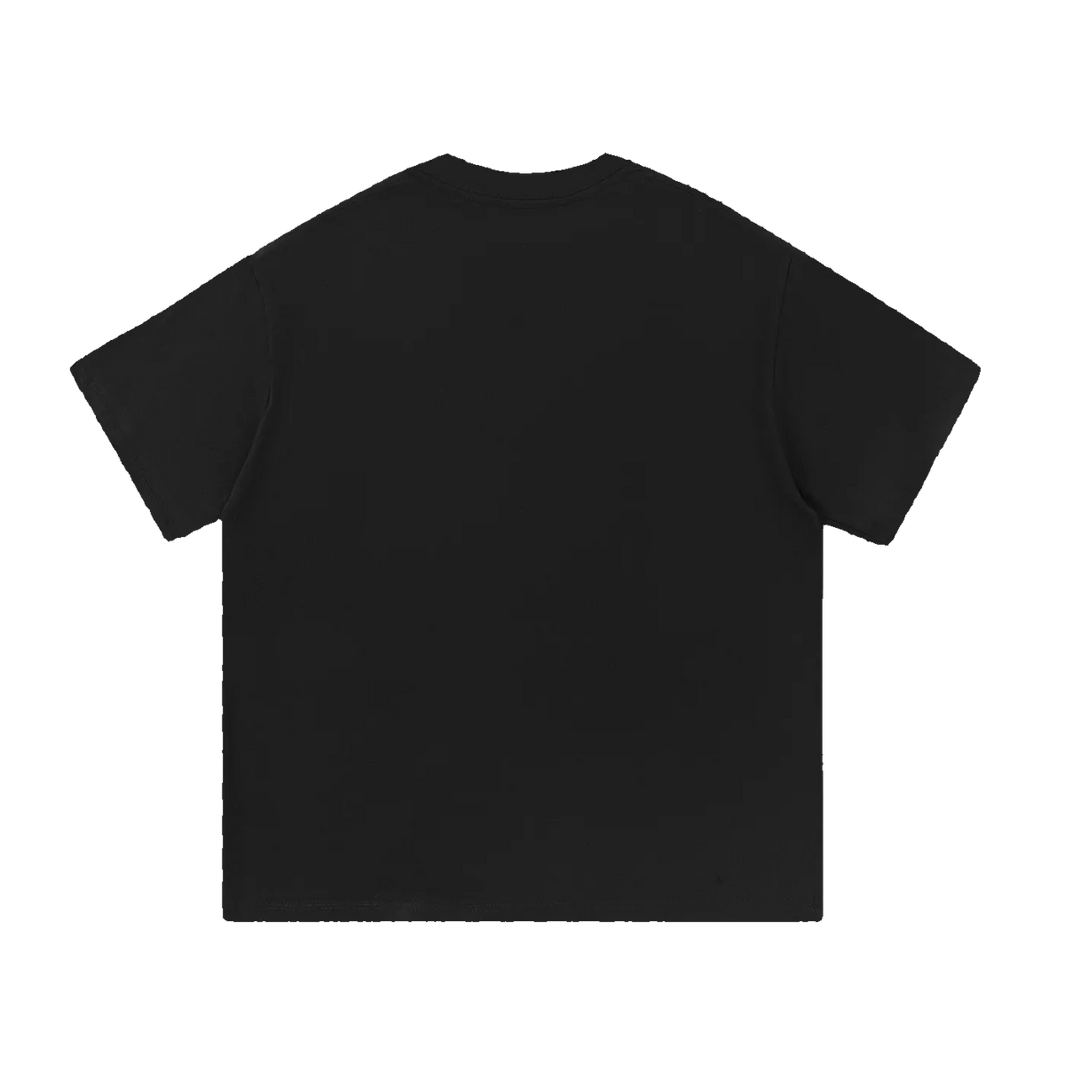 MIROLYUB Still Heavy Cotton Tee in Black, back view.