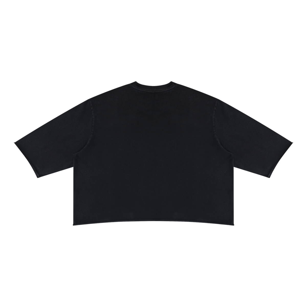 MIROLYUB Undertone Mineral-Wash Raw-Hem Tee in Black, back view.