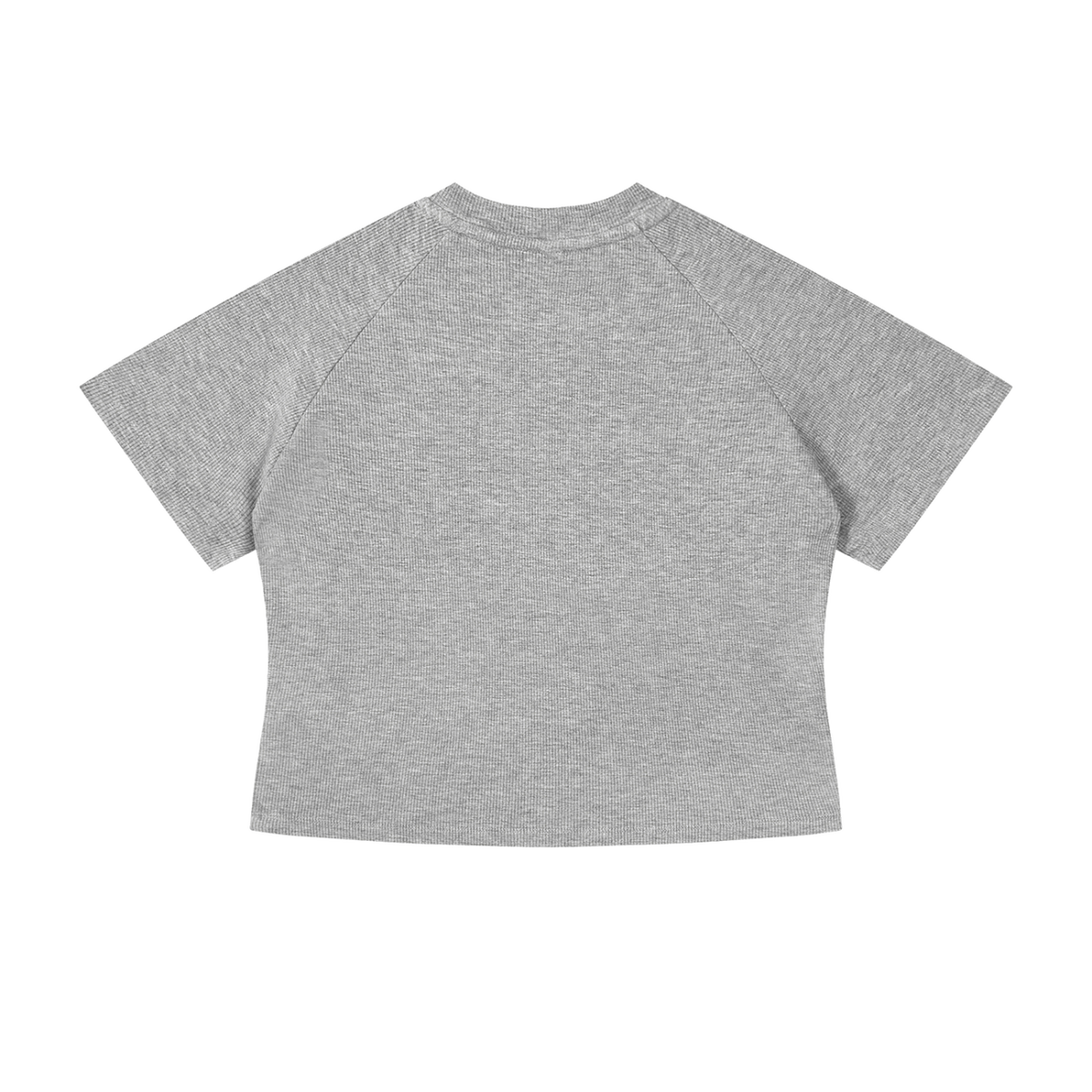 MIROLYUB Women's Mineral Wash Crop T-Shirt — Gray, back view