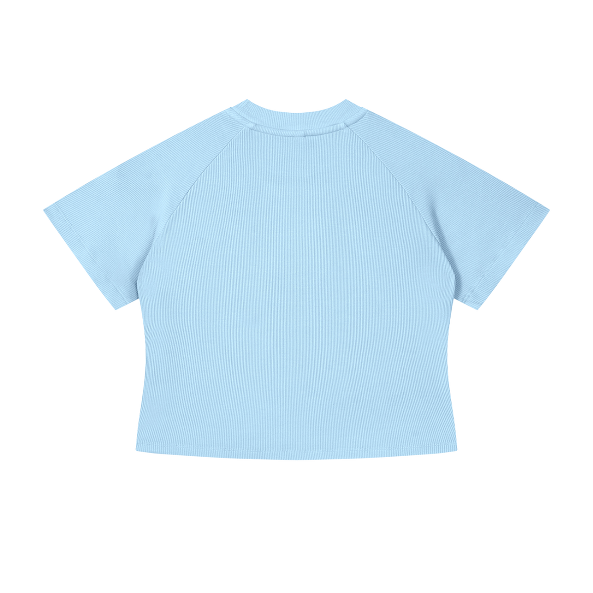 MIROLYUB Women's Mineral Wash Crop T-Shirt — Sky Blue, back view