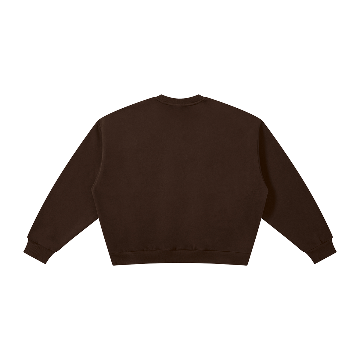 MIROLYUB Meridian boxy fleece crewneck in Coffee, back view.