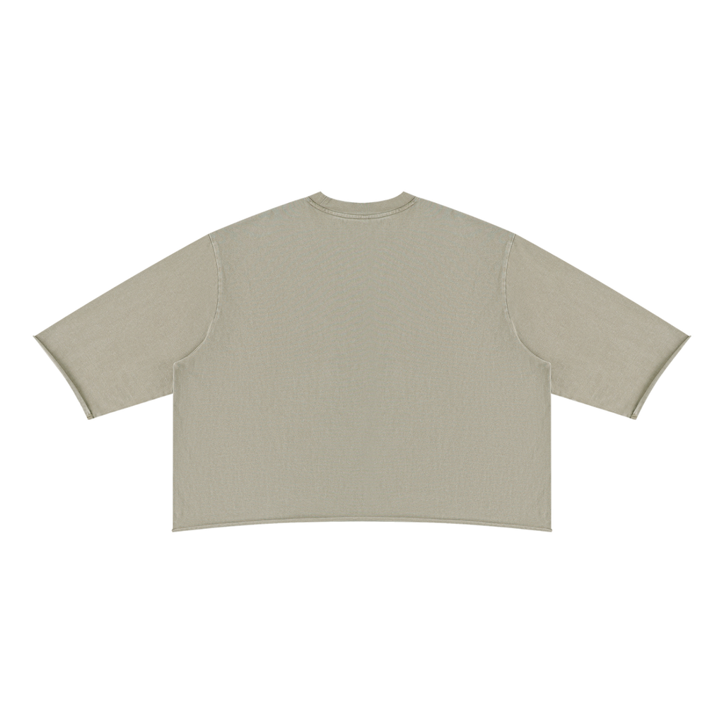 MIROLYUB Undertone Mineral-Wash Raw-Hem Tee in Apricot, back view.