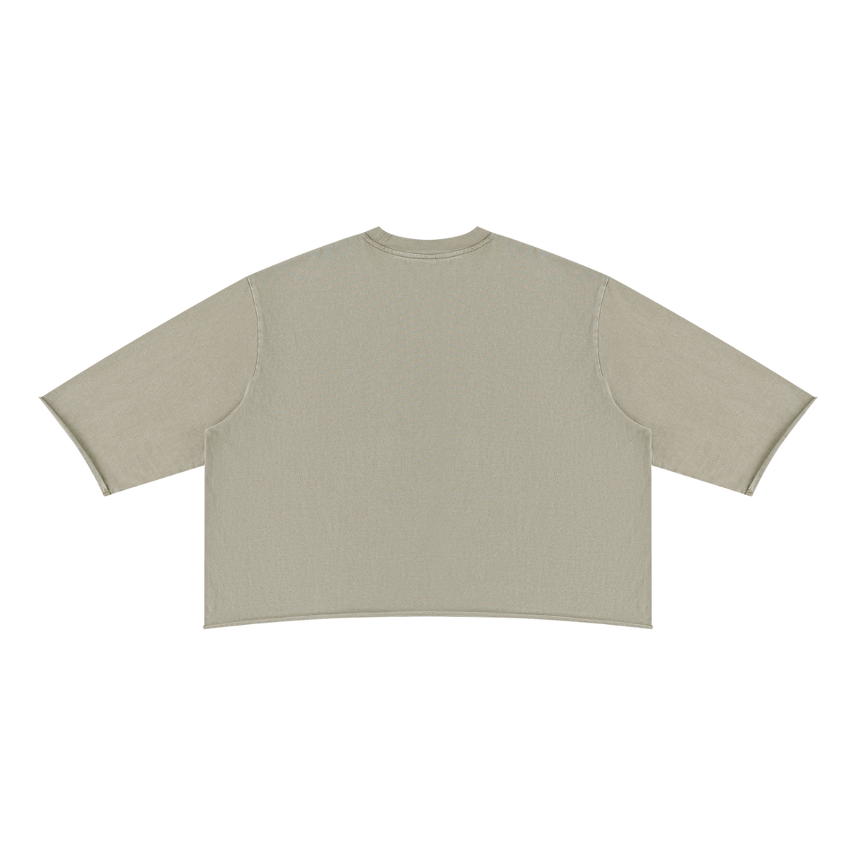 MIROLYUB Undertone Mineral-Wash Raw-Hem Tee in Apricot, back view.