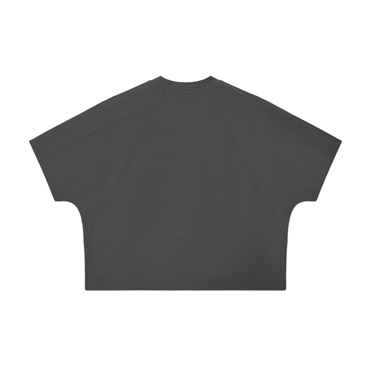 MIROLYUB Planes in Dark Gray — back view