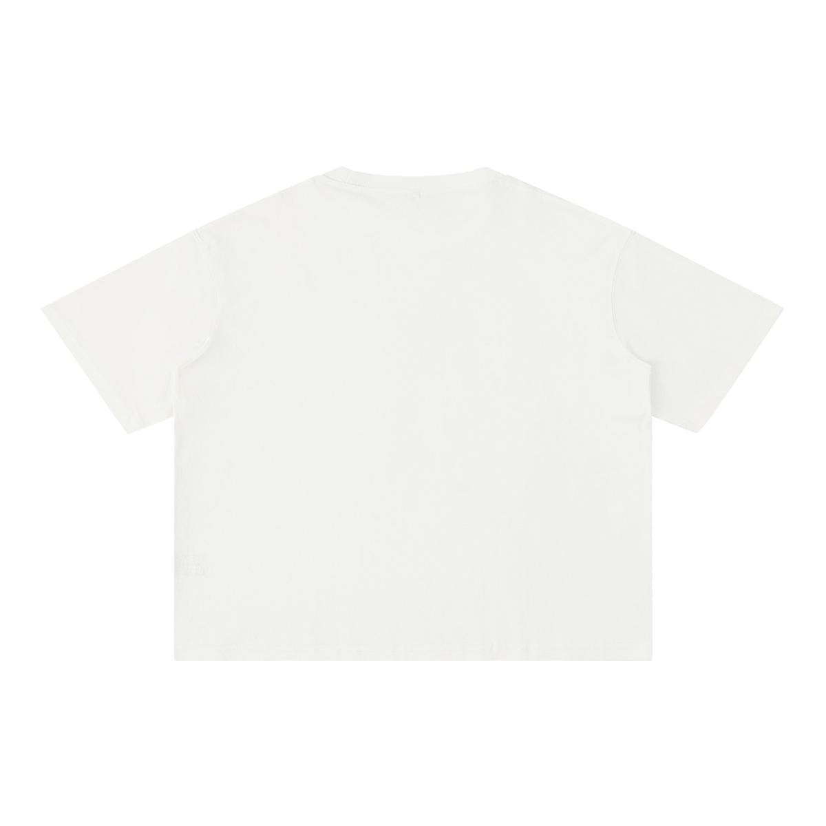 MIROLYUB Stratum Mineral-Wash Boxy Tee in White, back view