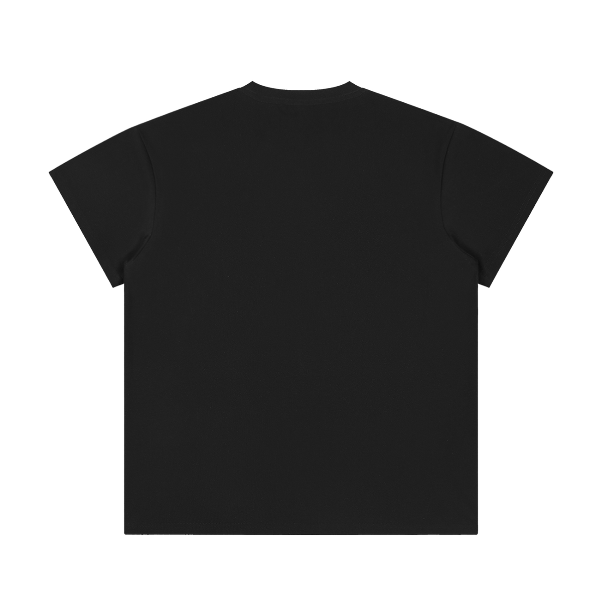 MIROLYUB Unisex Regular Fit Crewneck T-Shirt — Black, back view