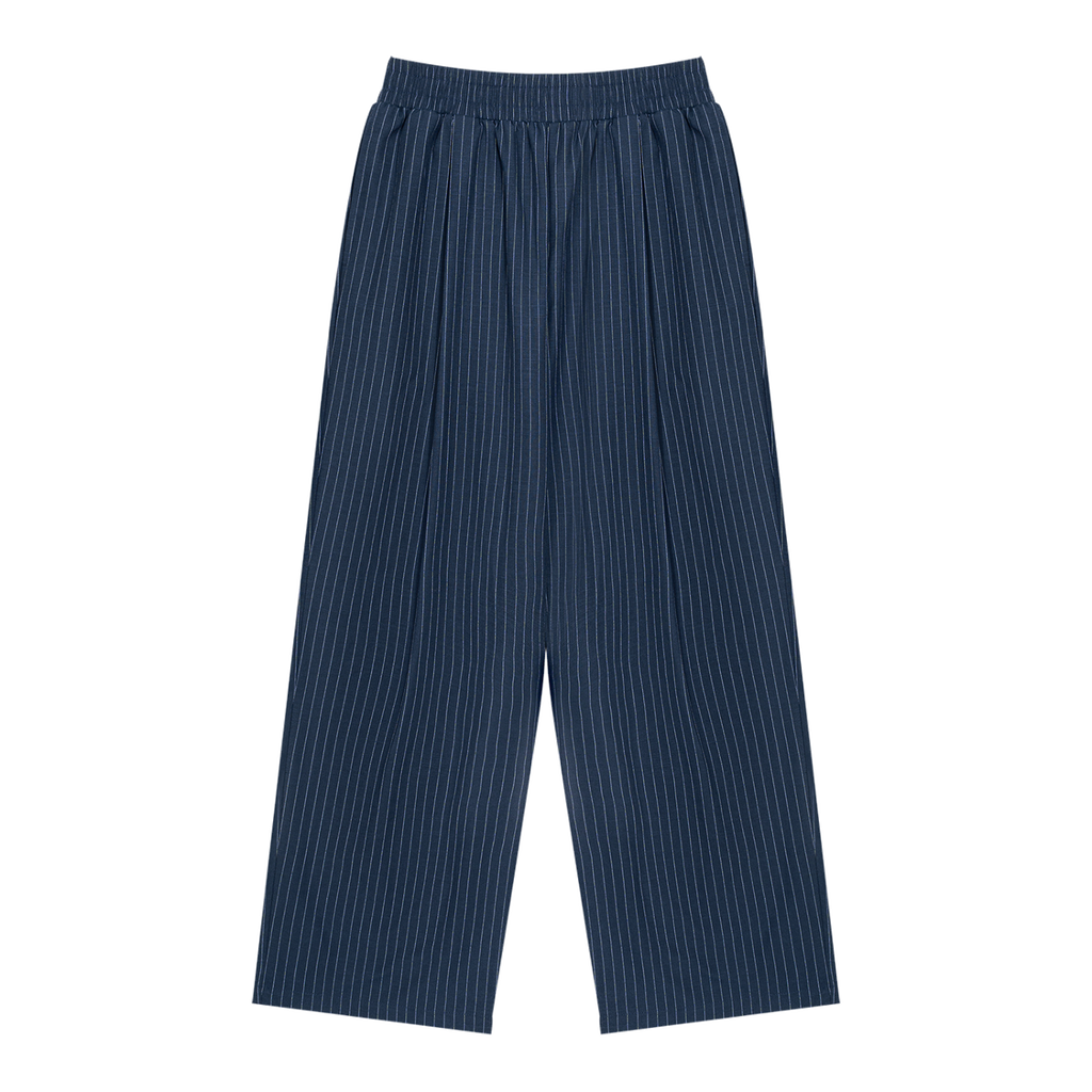 MIROLYUB Axis striped pleated trousers in Navy Blue, front view.