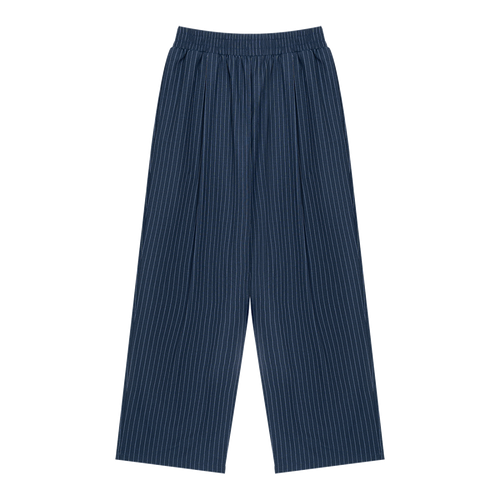 MIROLYUB Axis striped pleated trousers in Navy Blue, front view.