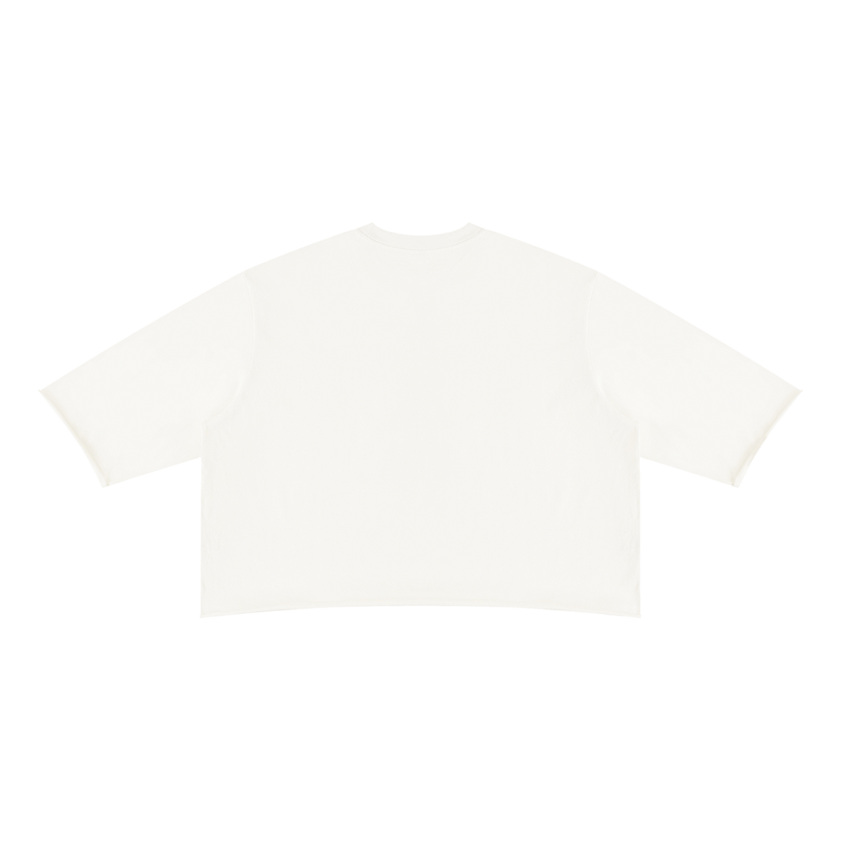 MIROLYUB Undertone Mineral-Wash Raw-Hem Tee in White, back view.