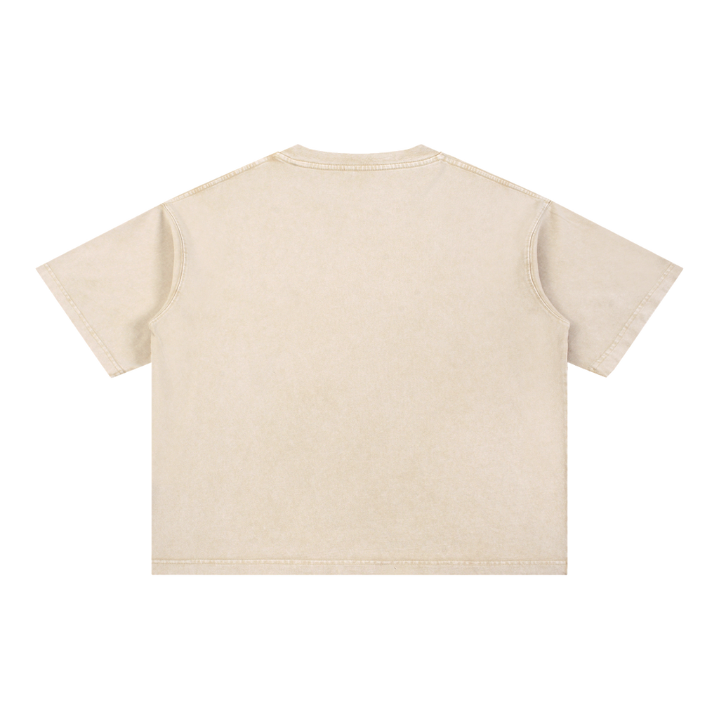 MIROLYUB Stratum Mineral-Wash Boxy Tee in Light Apricot, back view