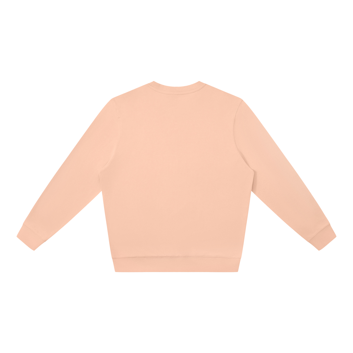 MIROLYUB Plainview Oversized Sweatshirt in Pink, back view