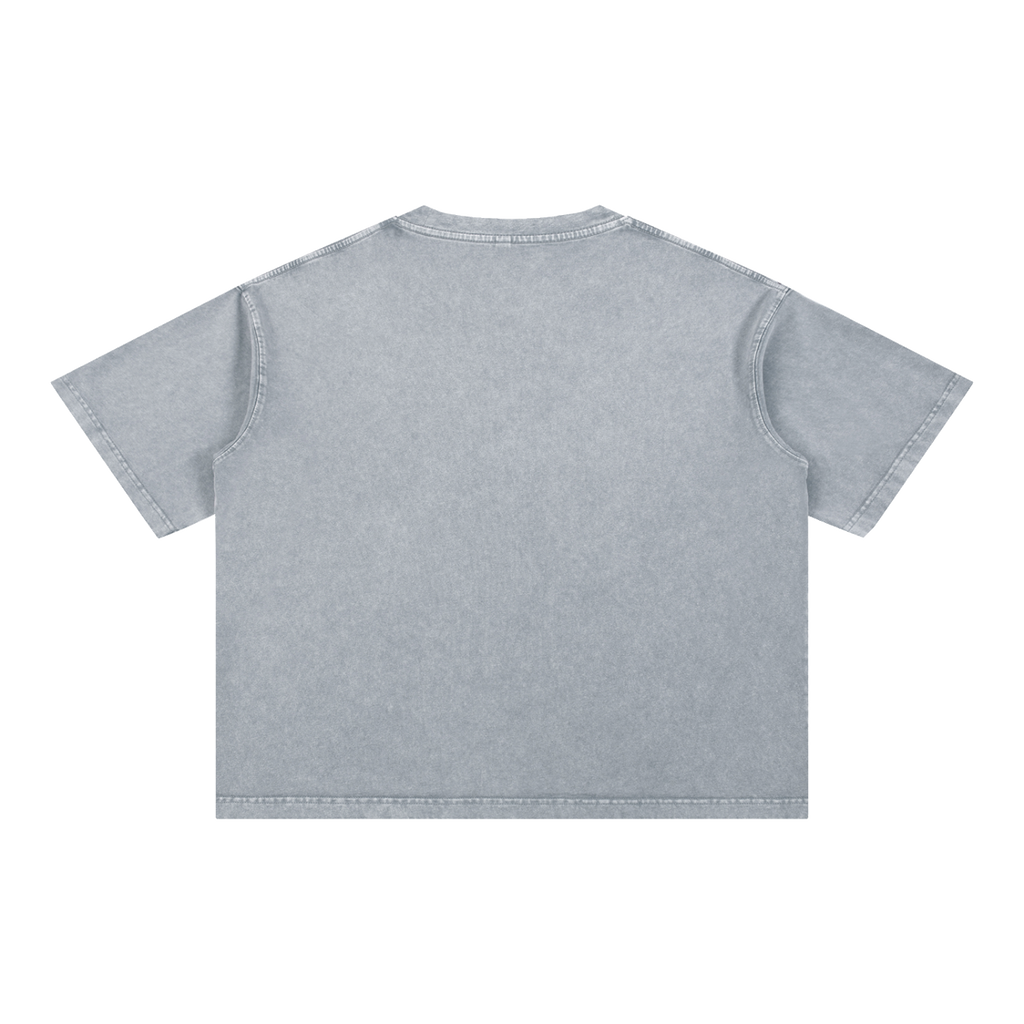 MIROLYUB Stratum Mineral-Wash Boxy Tee in Light Gray, back view