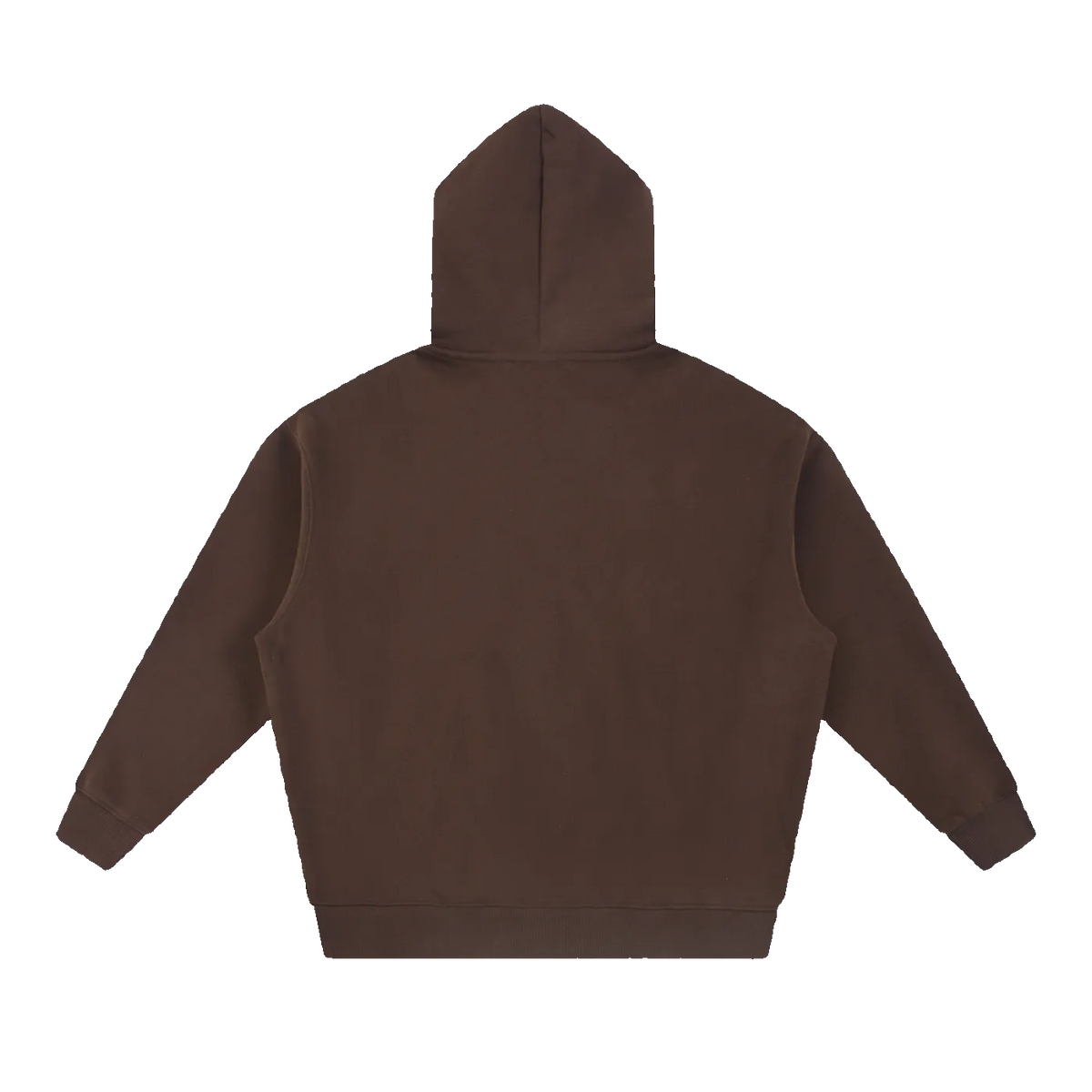 MIROLYUB loft boxy fleece hoodie in Coffee, back view