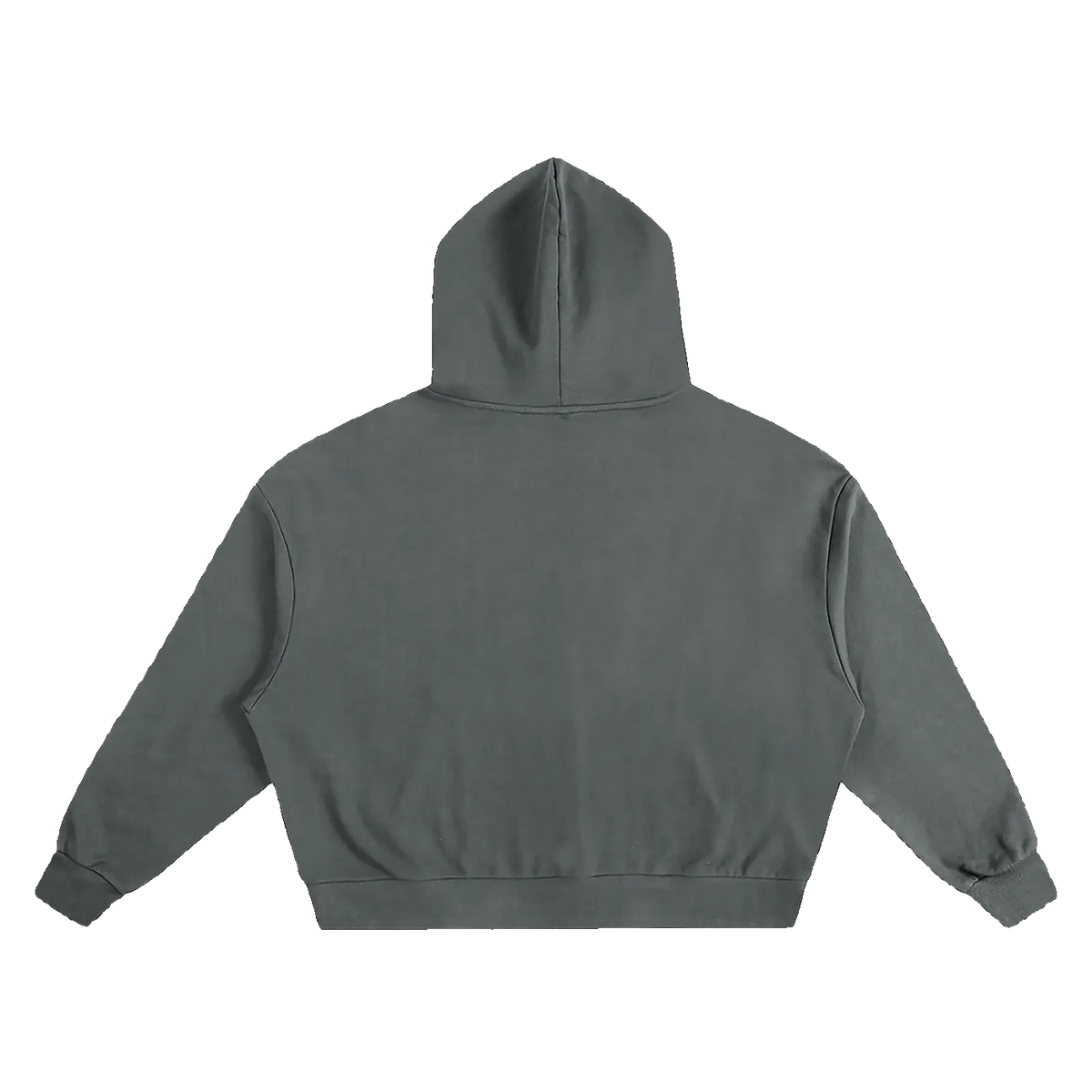 MIROLYUB plateau boxy cotton hoodie in Gray, back view