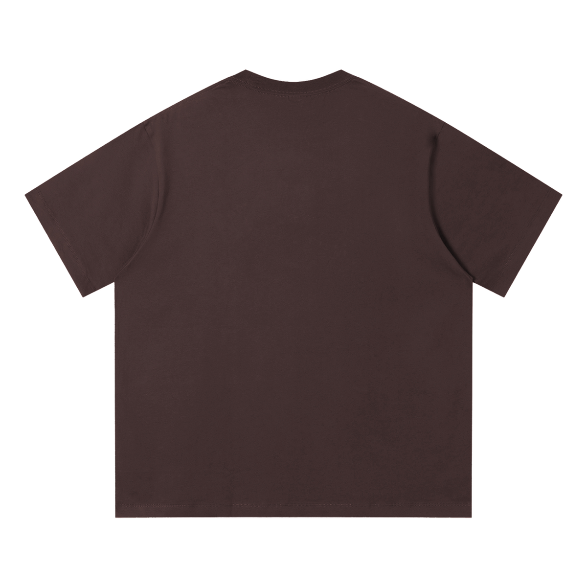 MIROLYUB Unisex Quick-Dry Relaxed Fit T-Shirt undefined in Coffee, back view