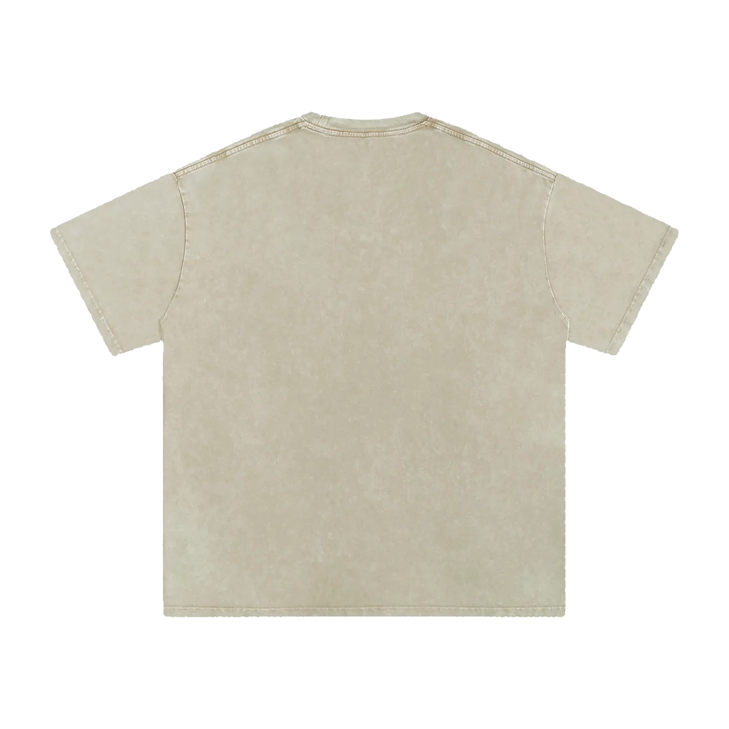 MIROLYUB Afterglow snow-wash oversized cotton tee in Khaki Ash, back view