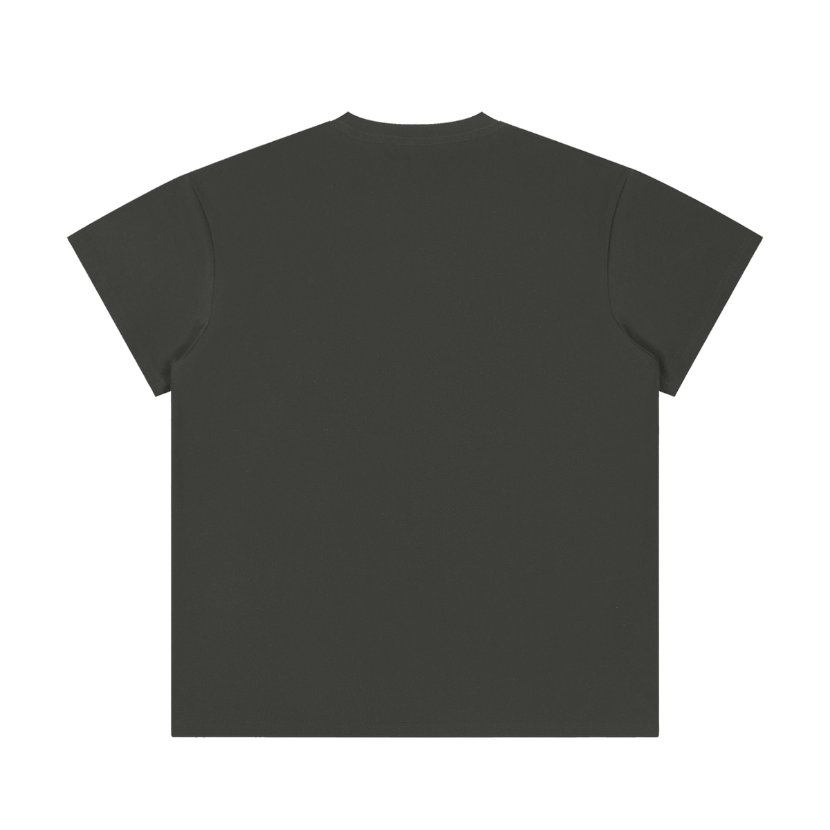 MIROLYUB Unisex Regular Fit Crewneck T-Shirt — Dark Gray, back view