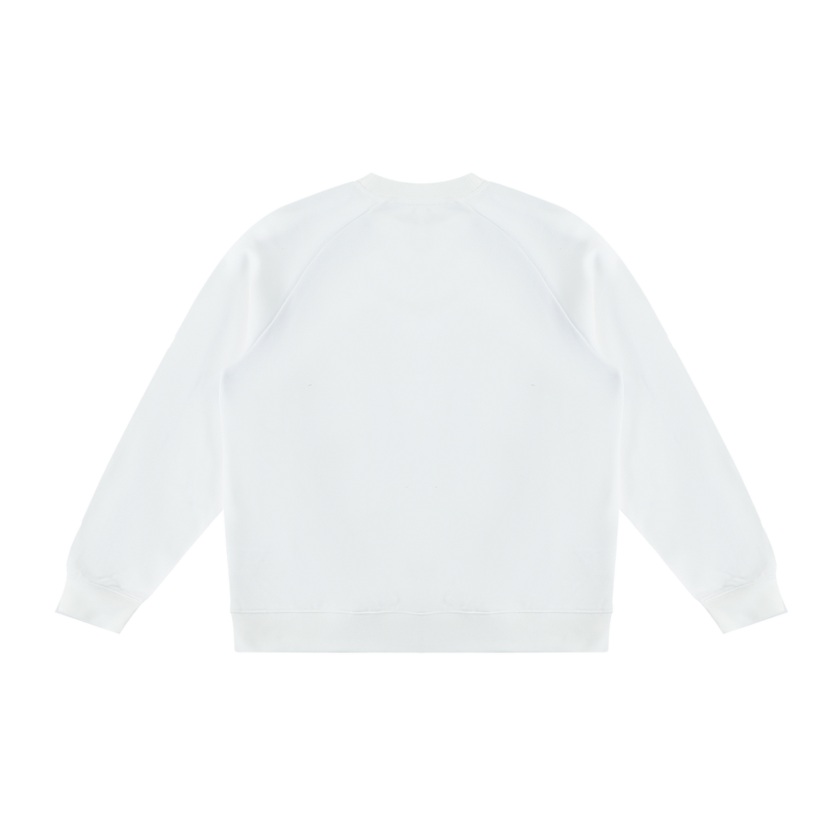 MIROLYUB Intersect Color-Block Sweatshirt in White with Sky Blue, back view