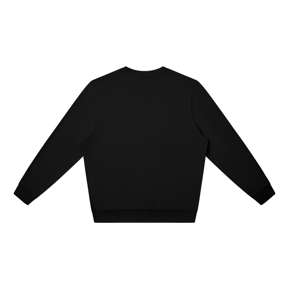 MIROLYUB Plainview Oversized Sweatshirt in Black, back view