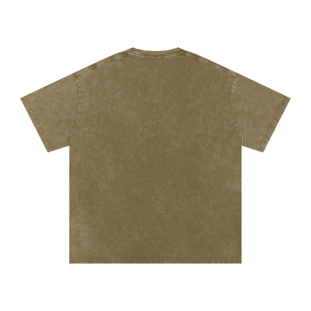MIROLYUB Afterglow Snow-Wash Oversized Tee in Gray Green, back view.
