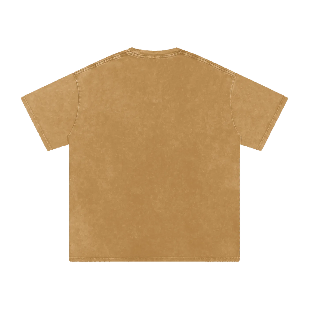 MIROLYUB Afterglow snow-wash oversized cotton tee in Light Brown, back view