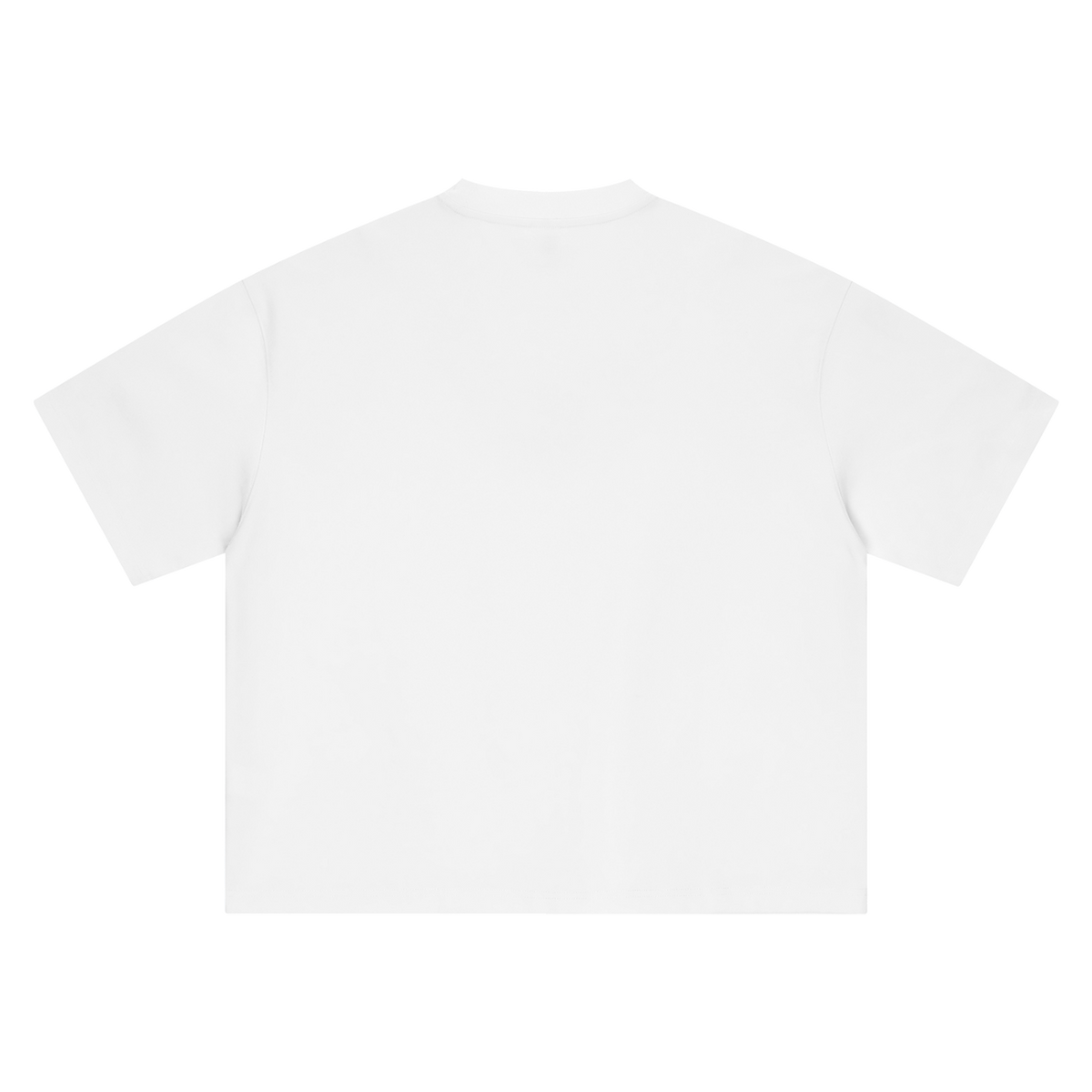 White MIROLYUB boxy tee, back view.